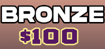 Sponsorship - Bronze