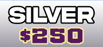 Sponsorship - Silver